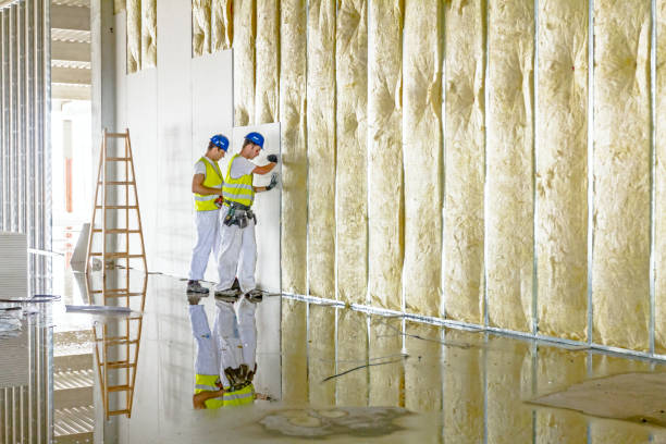 Range of Insulation Solutions in Eucalyptus Hills, CA